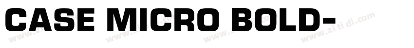 Case Micro Bold字体转换